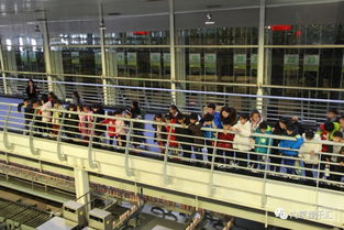 蒙牛工廠 內(nèi)蒙博物院 工業(yè)vs歷史人文 研學(xué)旅行