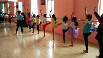 陽光文化藝術培訓中心加盟 加盟費用 代理條件 電話 中教招商網