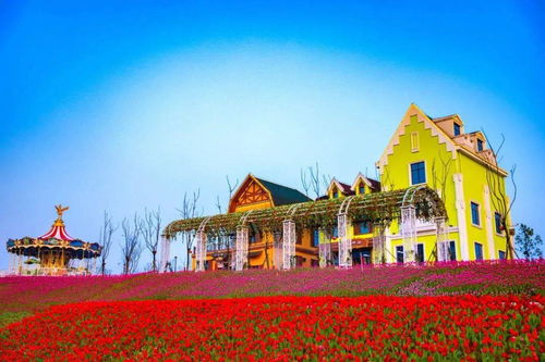 這個五一 萍鄉,太火 熱