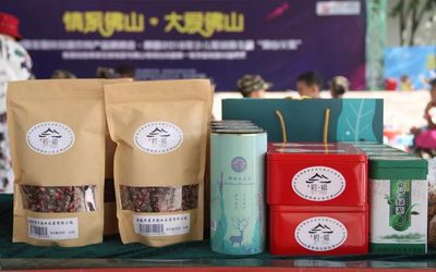 情系佛山·大愛佛山 | 碧桂園黨建推動扶貧,陽光文化進社區