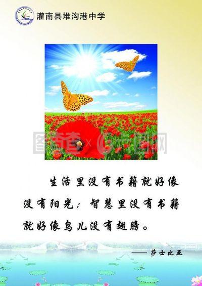 校園文化展板圖片