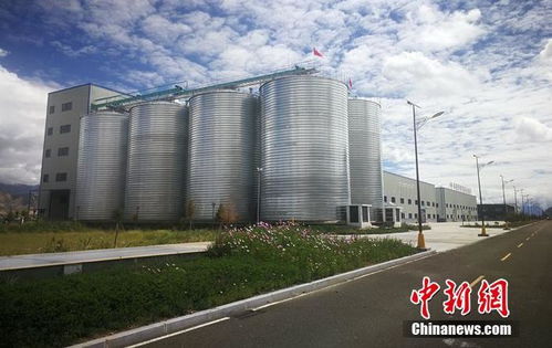 助力鄉村振興 西藏青稞產品助農惠民活動拉開序幕