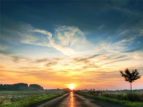 我希望 2019年最佳美文