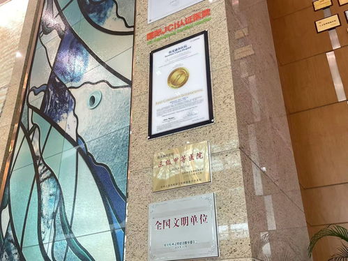 走近溫暖融和 感受愛與責任 陽光融和醫院九周年院慶紀實鳳凰網山東 鳳凰網