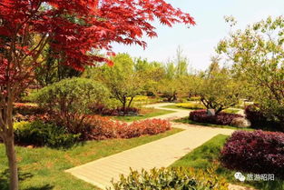 精選圖片帖 昭通論壇 第7頁