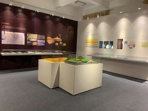 良渚之光 照耀雪域高原,浙博良渚文化展在西藏那曲開幕