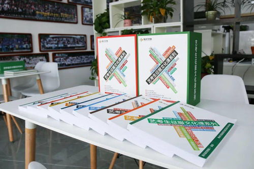 藝考生文化課 陽光學校自編教材,每一本都是匠心之作