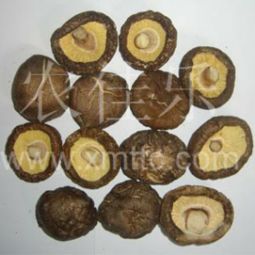 農(nóng)佳樂香菇加盟 代理 農(nóng)佳樂香菇加盟 電話 加盟費(fèi)多少錢