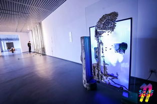 雅昌快訊 視頻 第11屆宋莊文化藝術節開幕 14家機構奉獻50場展覽點亮 藝術之光