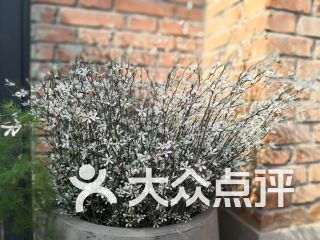 瑞光文化傳播課程 價格 簡介 怎么樣 鄭州學習培訓