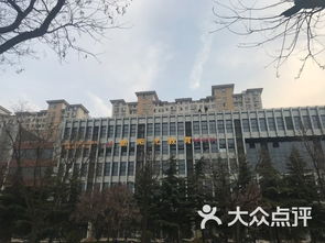 新陽光文化藝術學校課程 價格 簡介 怎么樣 泰安學習培訓