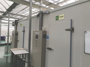 記者探訪太陽光利用型植物工廠 流水線流淌秘密配方