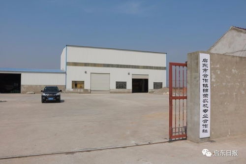 啟東合作鎮,具有獨特歷史文化風情的花海小鎮