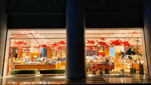 適合工作就是全部的try hard 看準網