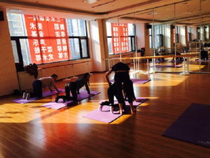 陽光文化藝術培訓中心加盟 加盟費用 代理條件 電話 中教招商網