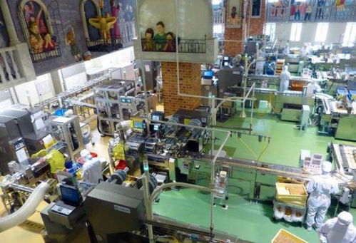 老板出資1千萬回鄉辦分廠, 招了100多名親戚員工, 1年后就虧到血本無歸