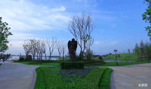 小長假去哪玩 景區賽龍舟 陽光半島端午龍舟文化節邀您登島度假